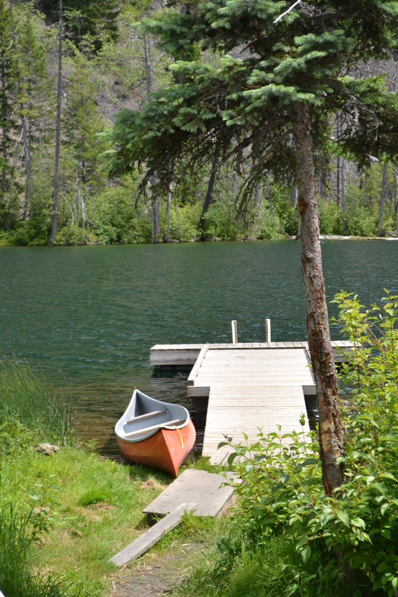 Whitetail Cabin Gallery